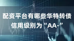 配资平台有哪些华特转债信用级别为“AA-”