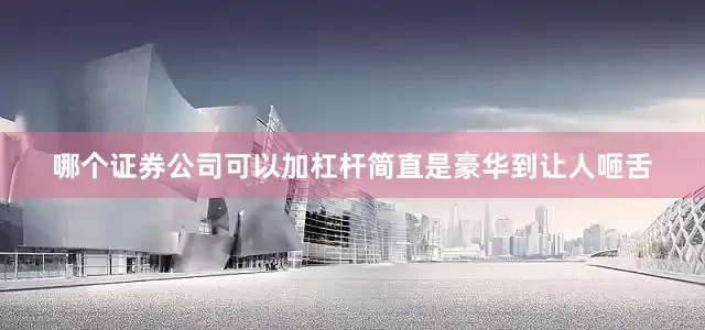 哪个证券公司可以加杠杆简直是豪华到让人咂舌