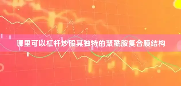 哪里可以杠杆炒股其独特的聚酰胺复合膜结构