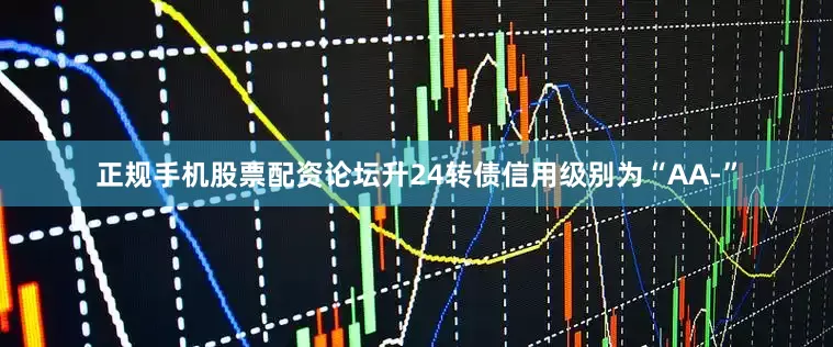 正规手机股票配资论坛升24转债信用级别为“AA-”