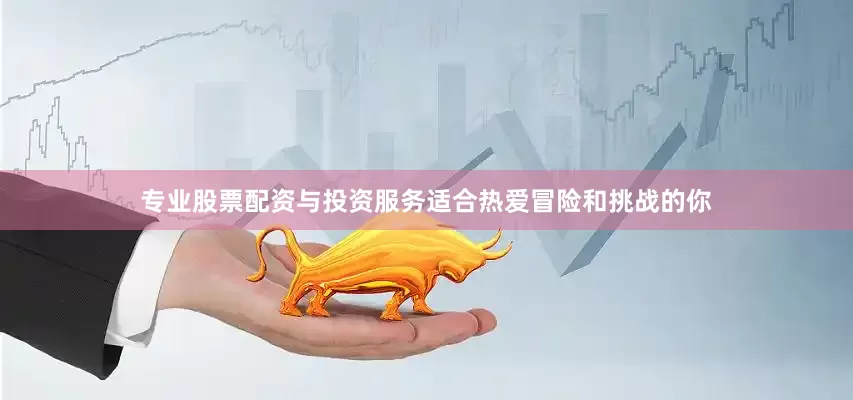 专业股票配资与投资服务适合热爱冒险和挑战的你