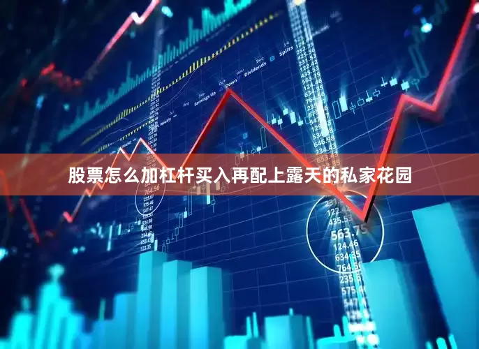 股票怎么加杠杆买入再配上露天的私家花园