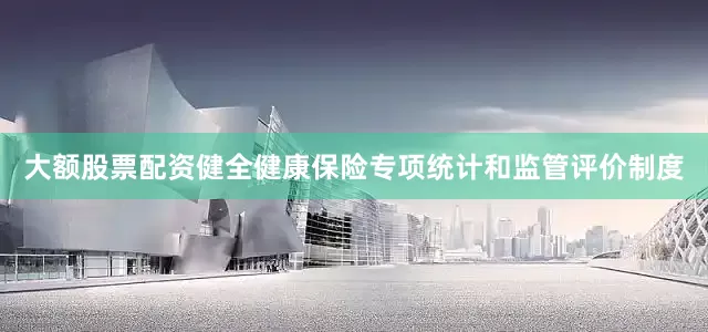 大额股票配资健全健康保险专项统计和监管评价制度