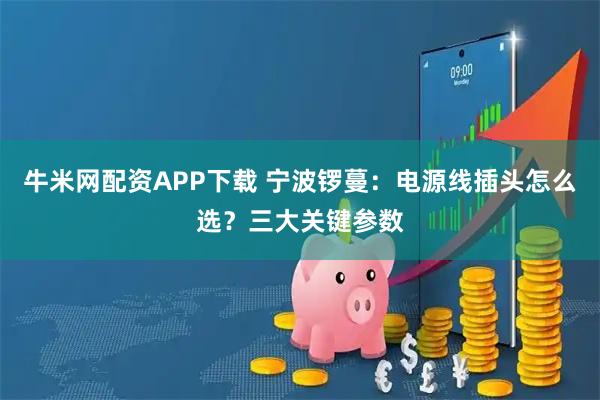 牛米网配资APP下载 宁波锣蔓：电源线插头怎么选？三大关键参数