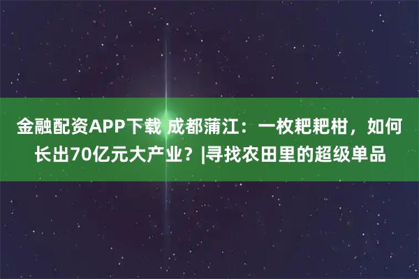 金融配资APP下载 成都蒲江：一枚耙耙柑，如何长出70亿元大产业？|寻找农田里的超级单品